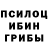 Галлюциногенные грибы GOLDEN TEACHER Maria Puchkareva