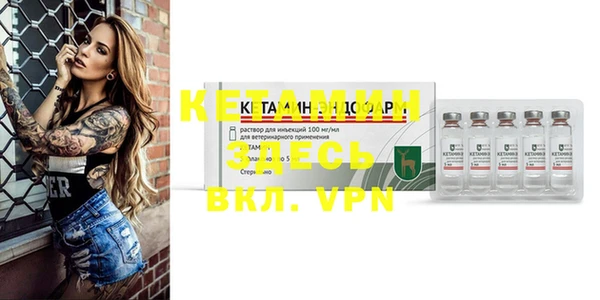 крисы Аркадак