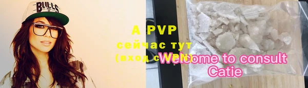 крисы Аркадак