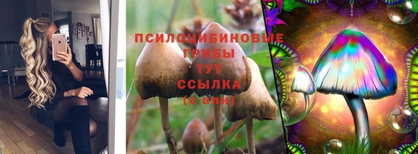а пвп мука Армянск
