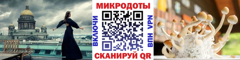 Псилоцибиновые грибы GOLDEN TEACHER  Купить  Агрыз 