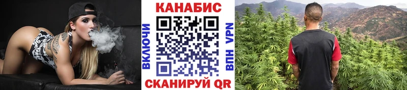 Бошки Шишки семена  Купить где  Агрыз 